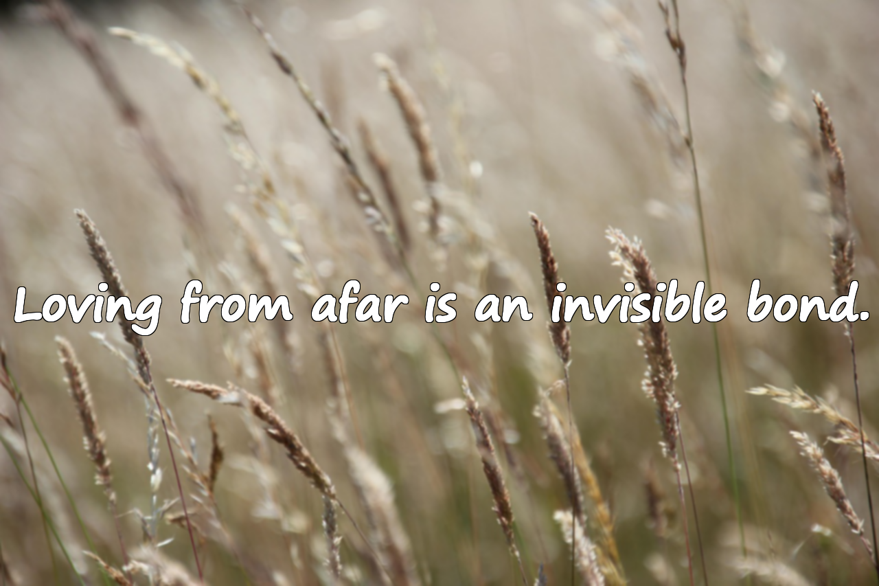 Beautiful Quotes About Loving From Afar