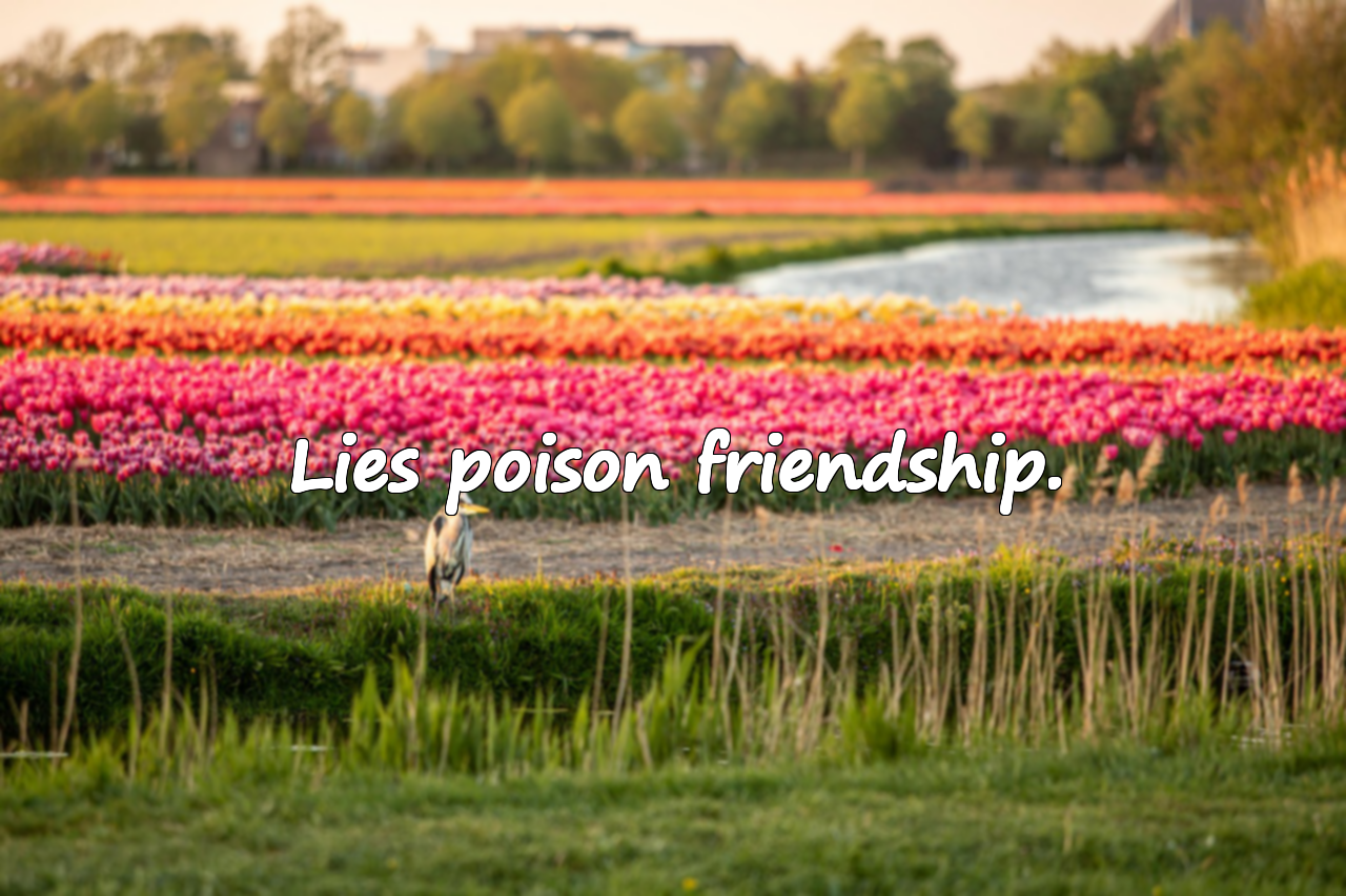 Beautiful Quotes About Lying