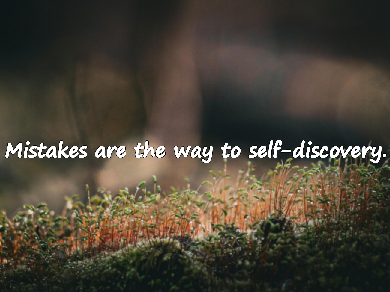 Beautiful Quotes About Mistakes