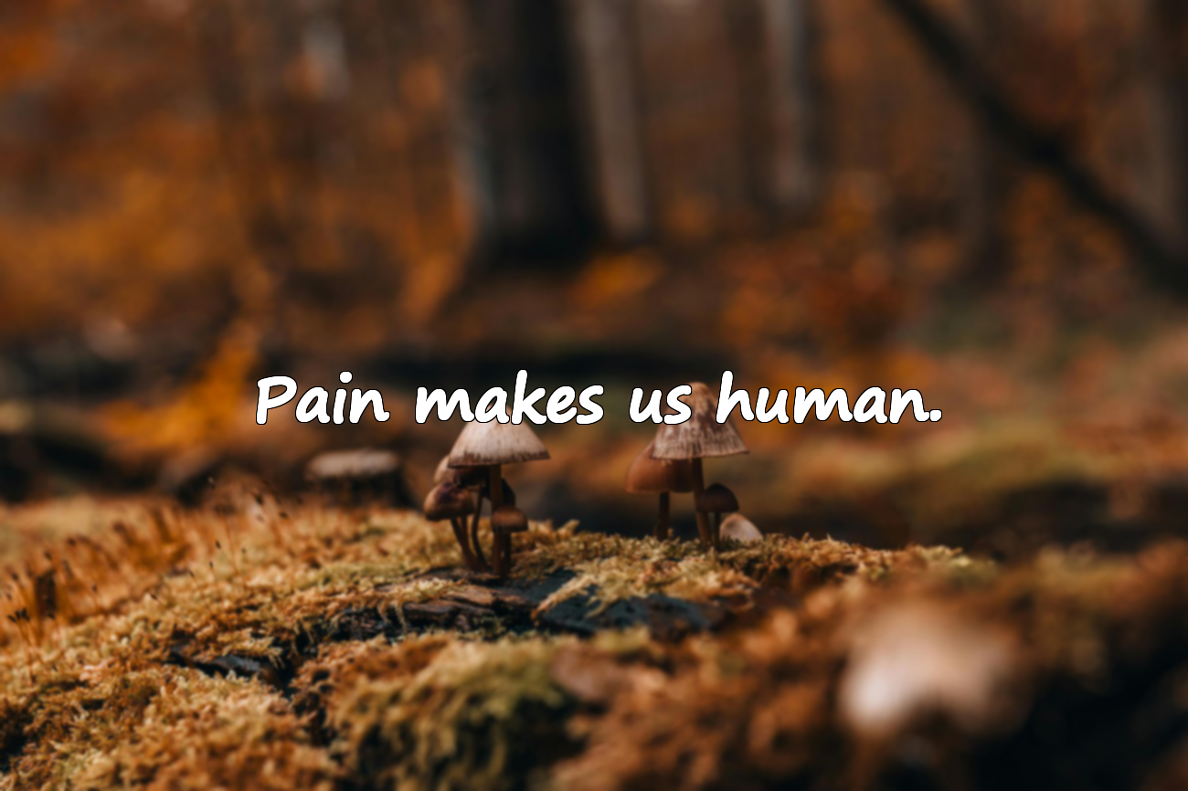 Beautiful Quotes About Sadness