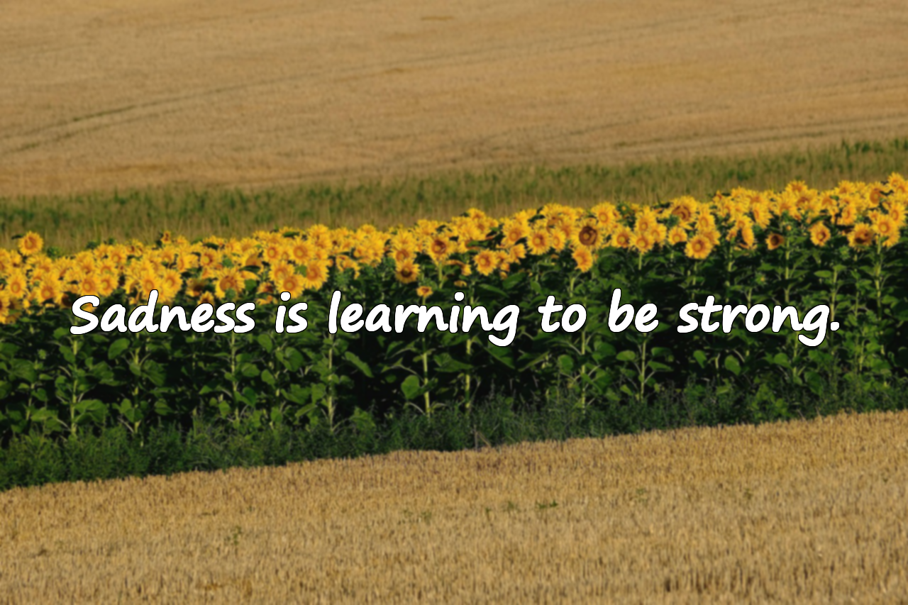 Beautiful Quotes About Sadness