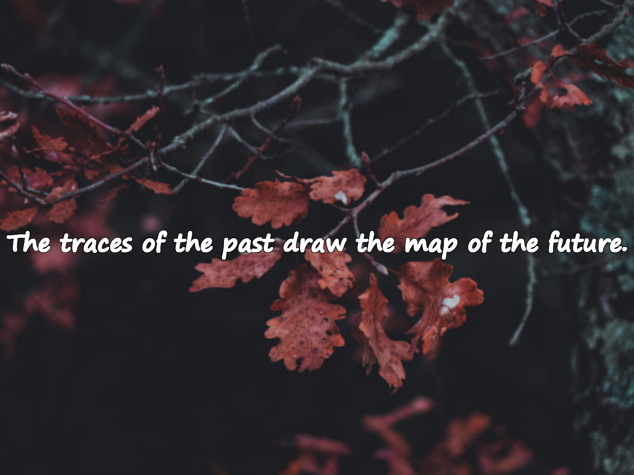 Beautiful Quotes About the Past