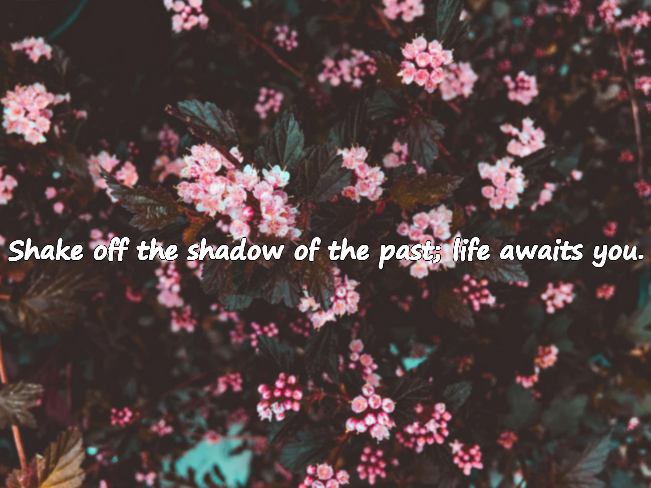 Beautiful Quotes About the Past
