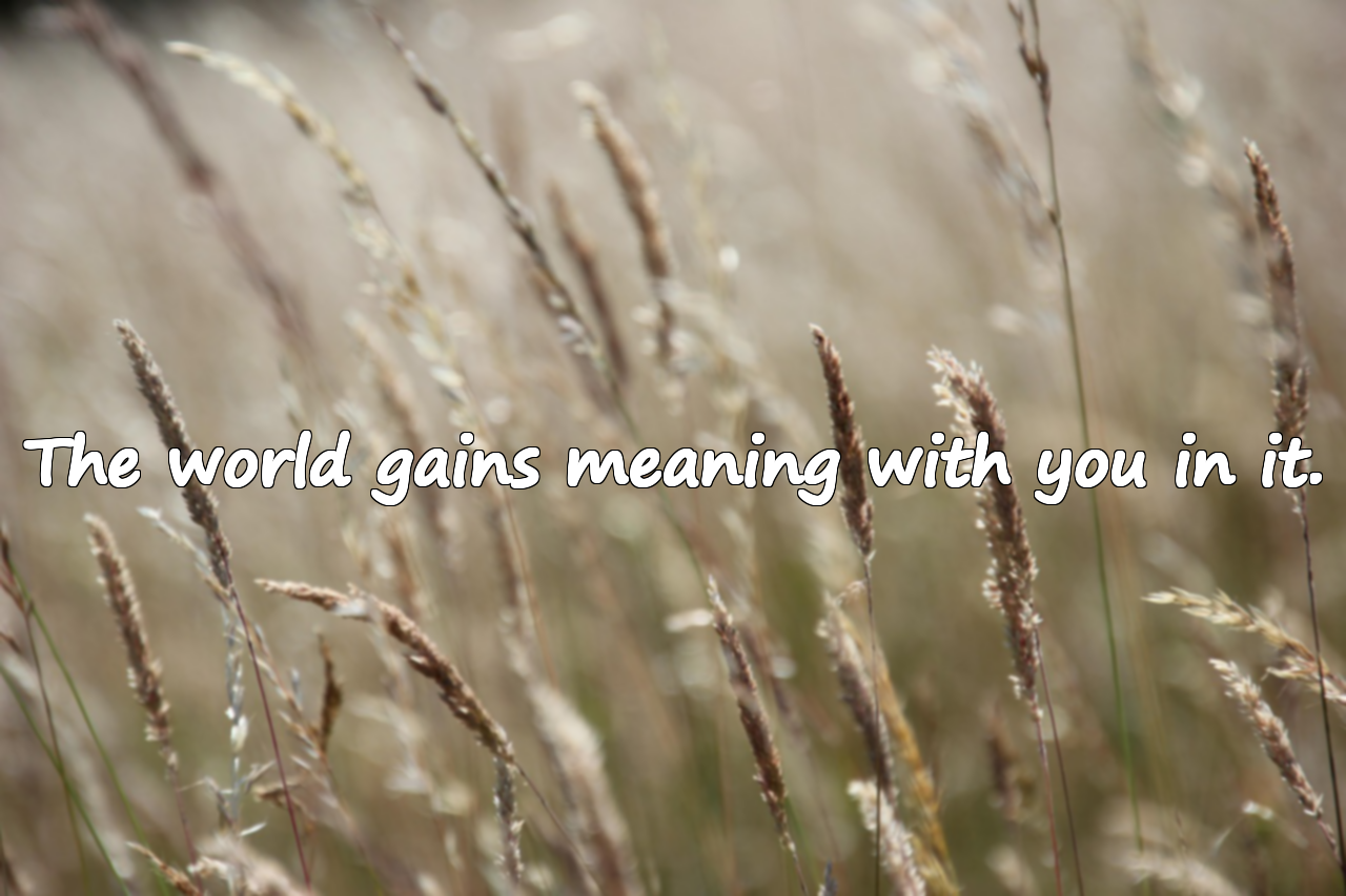 Beautiful Quotes About the World