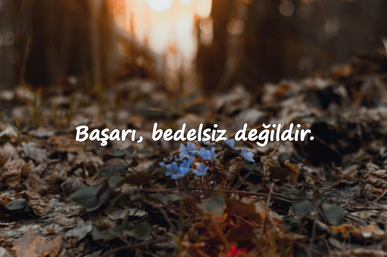 Bedel ile İlgili Sözler