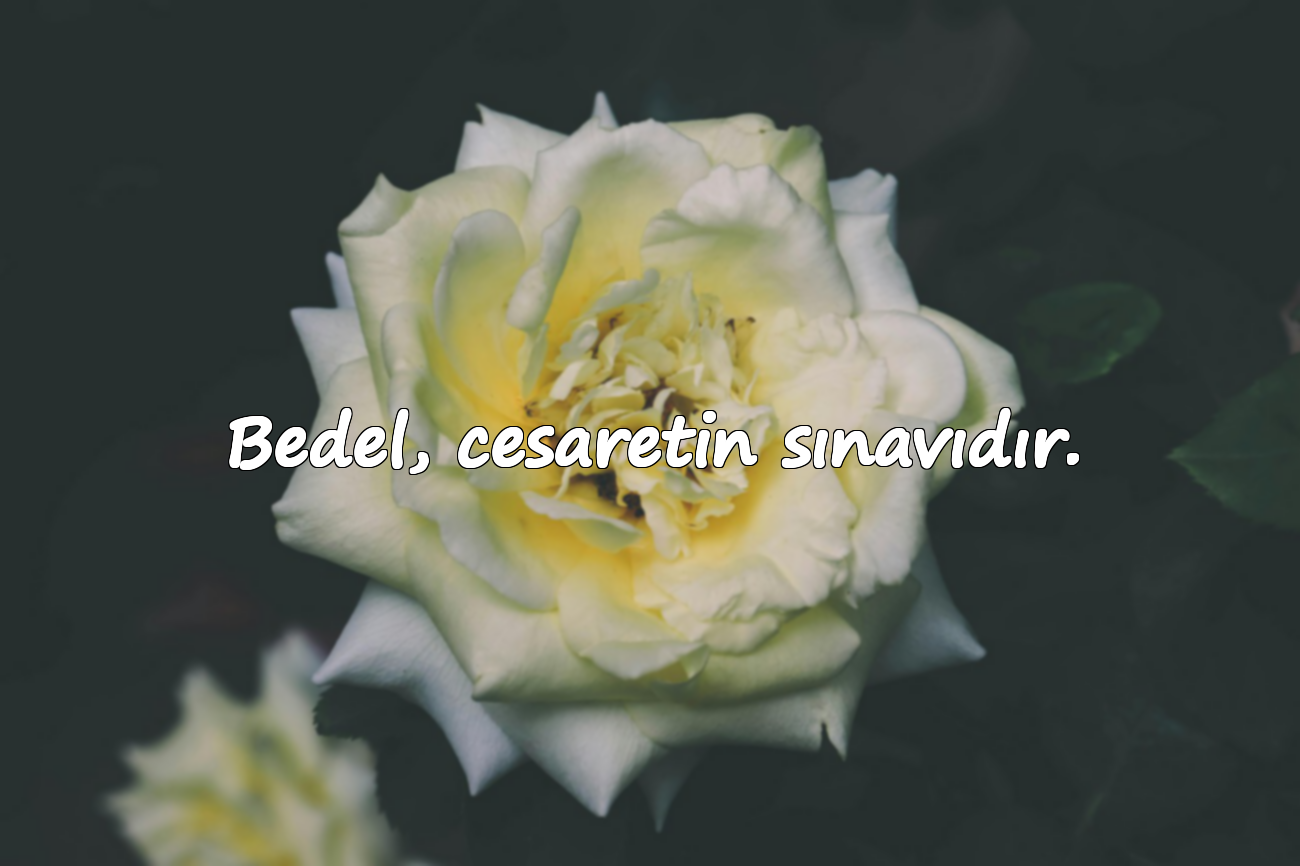Bedel ile İlgili Sözler