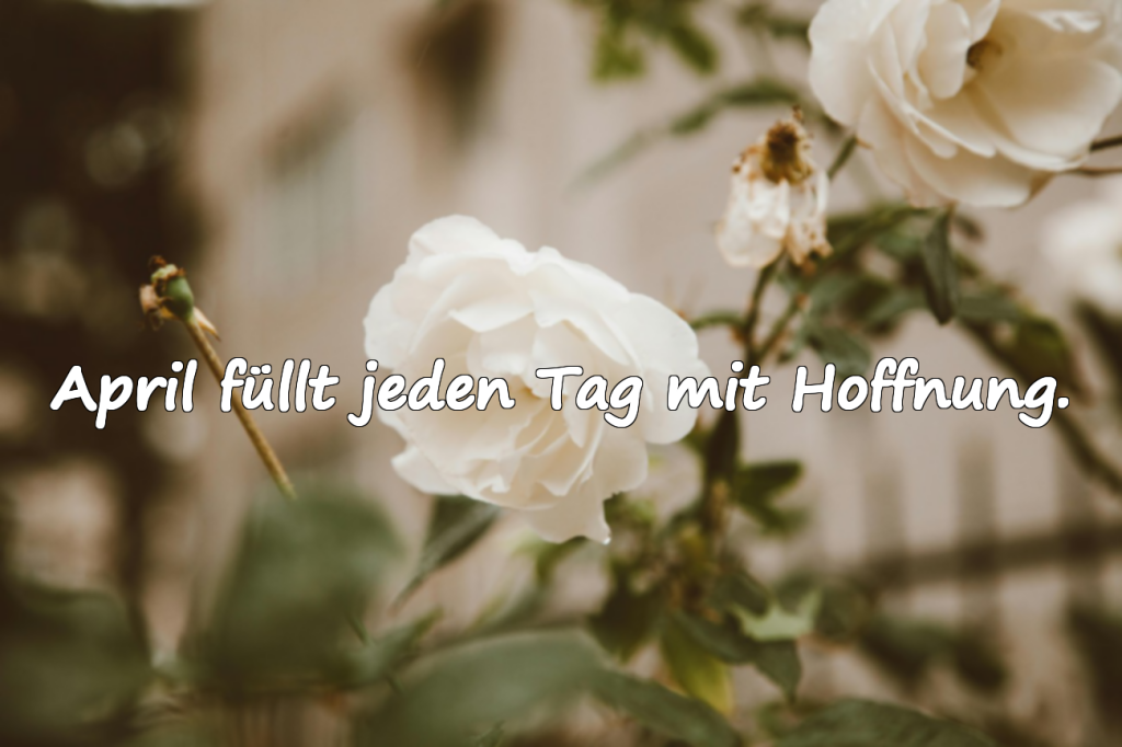 Bedeutungsvolle April-Sprüche
