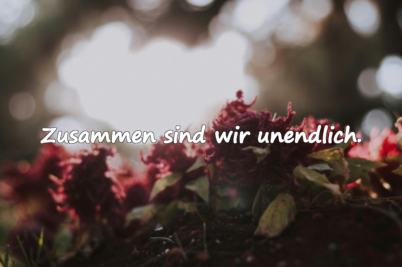 Bedeutungsvolle Liebeszitate
