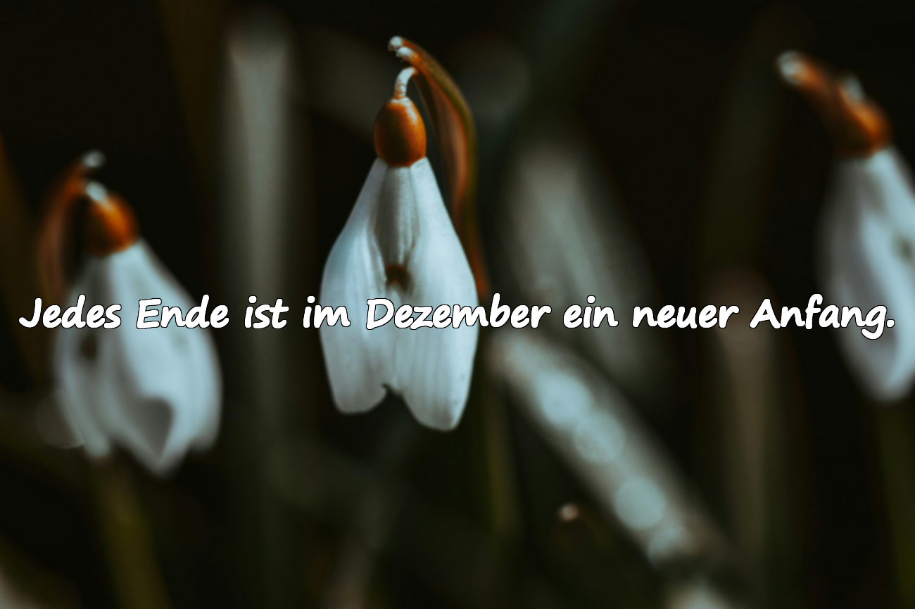 Bedeutungsvolle Sprüche über Dezember