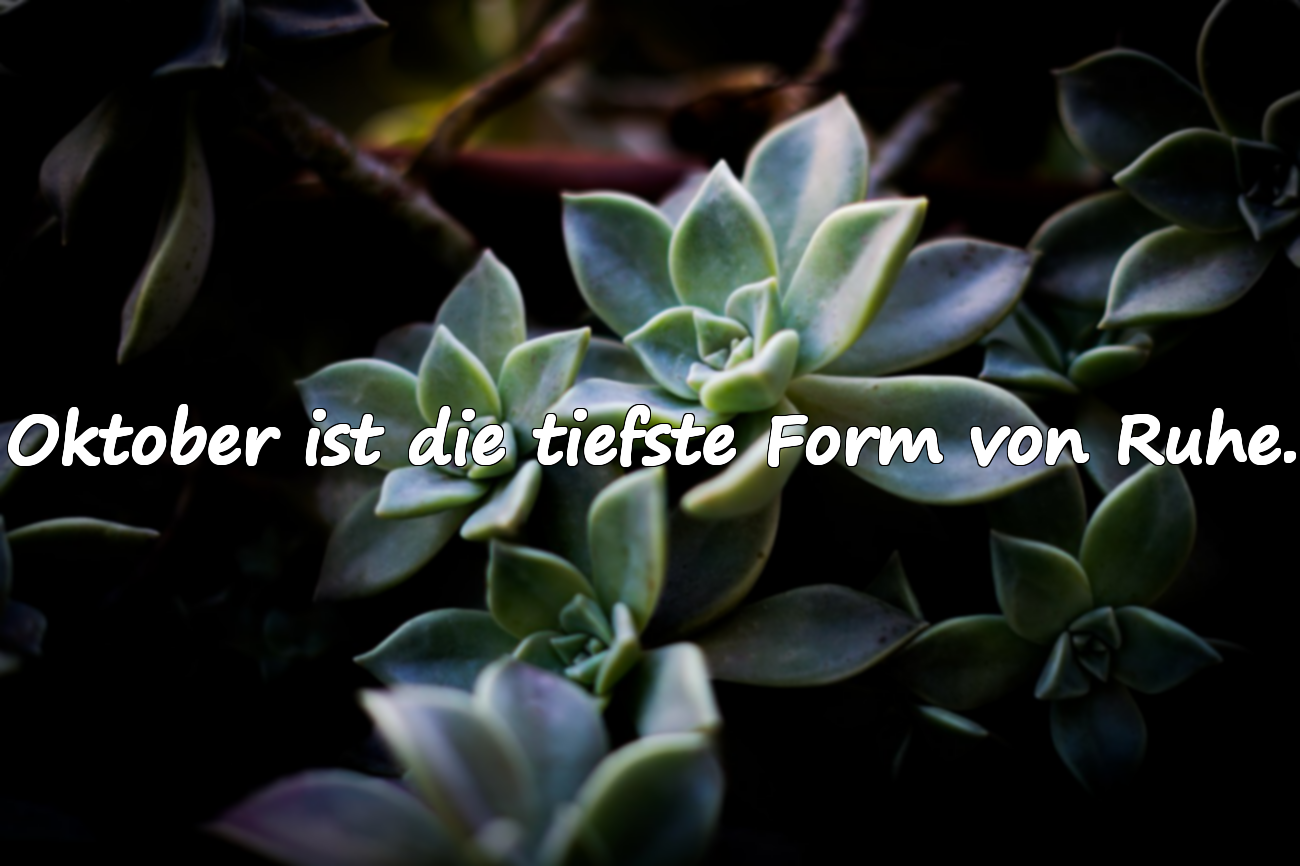Bedeutungsvolle Sprüche über den Monat Oktober