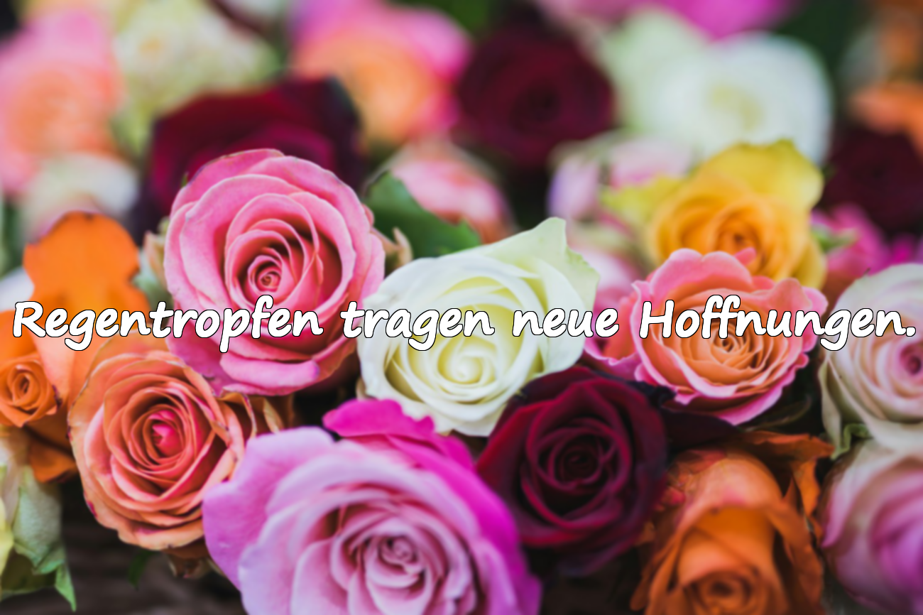Bedeutungsvolle Sprüche über den November