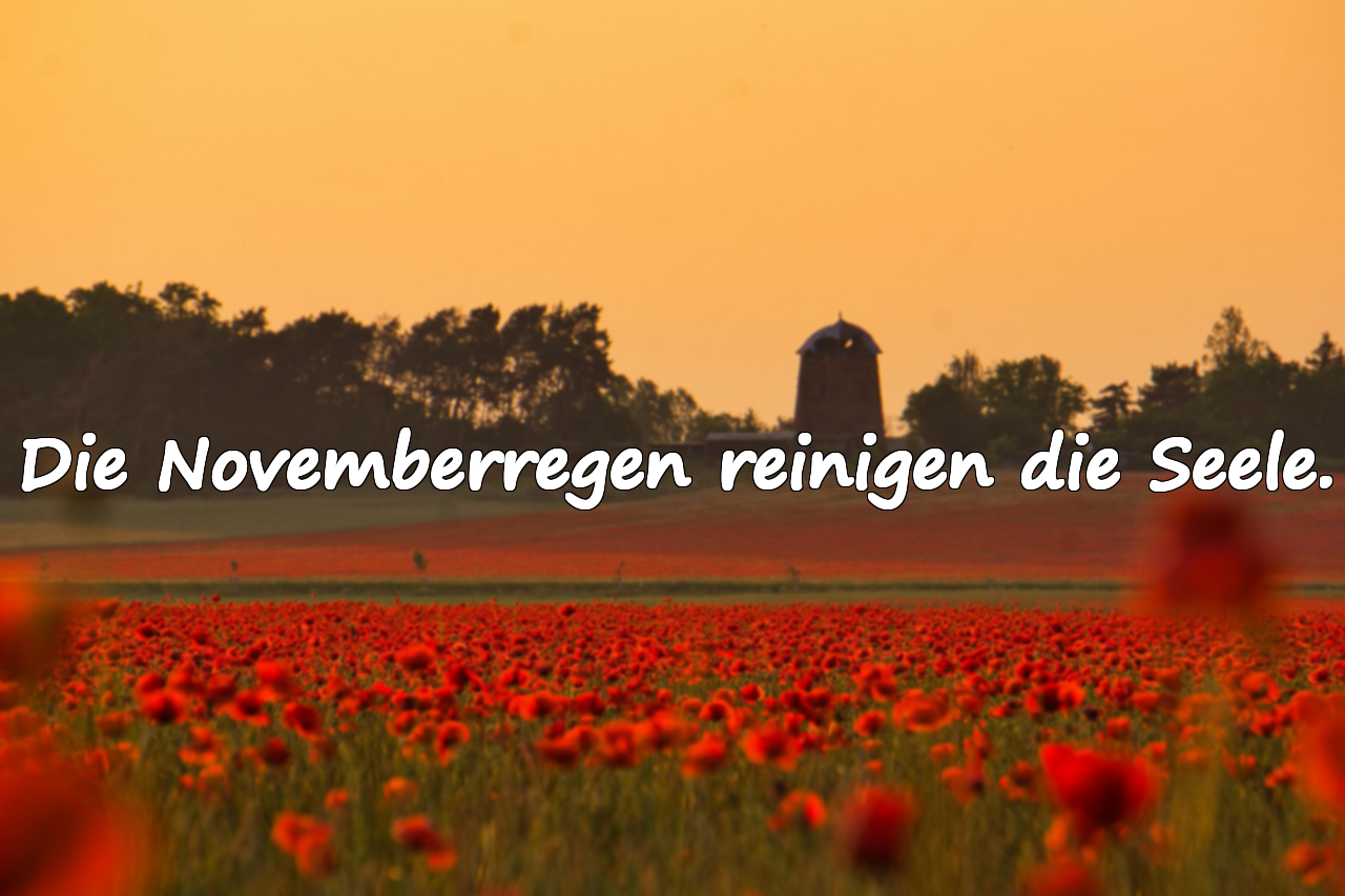 Bedeutungsvolle Sprüche über den November
