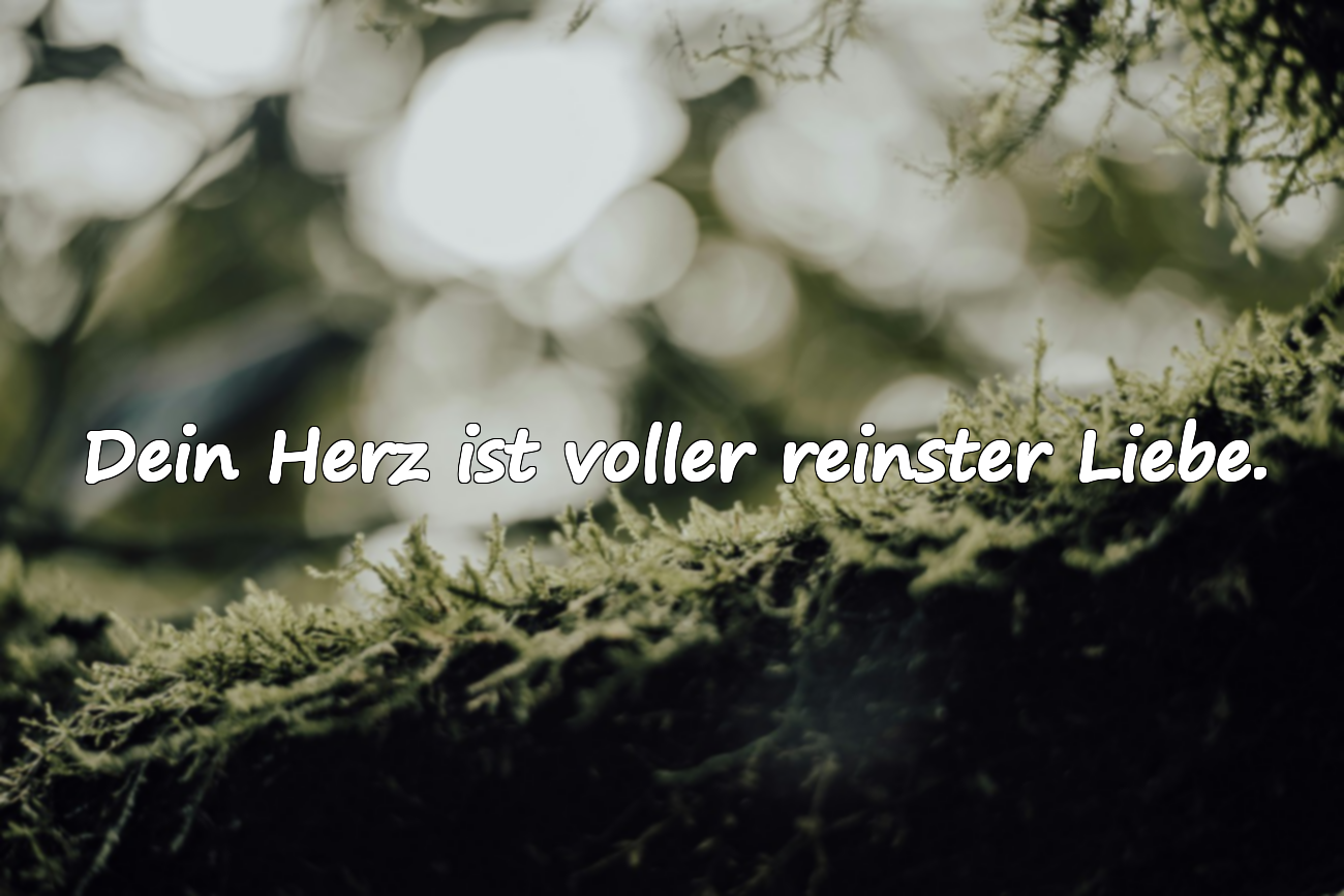 Bedeutungsvolle Sprüche über die Mutter