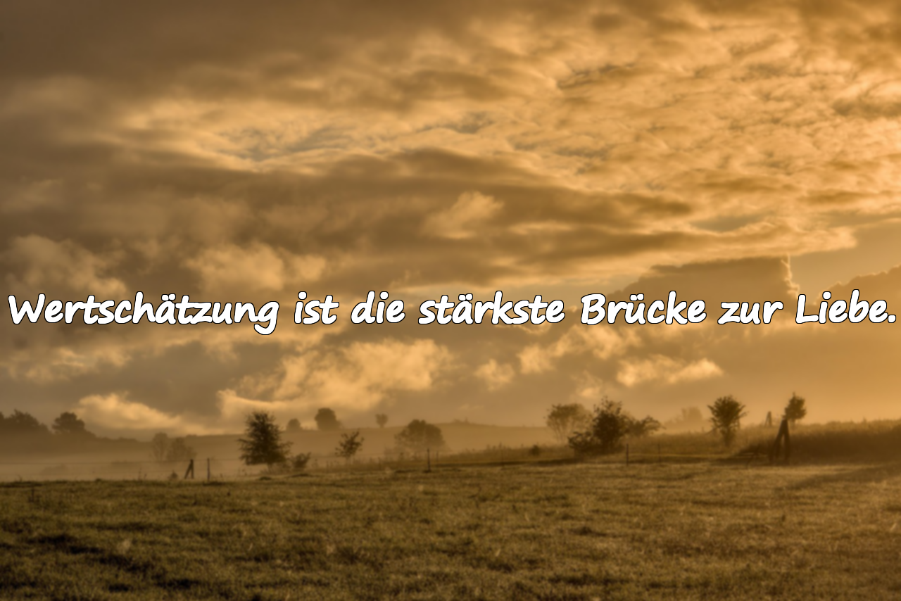Wertschätzung ist die stärkste Brücke zur Liebe.