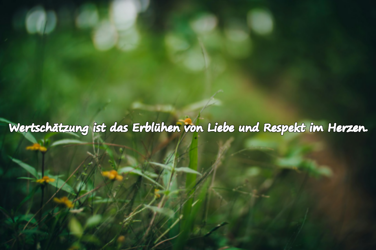 Wertschätzung ist das Erblühen von Liebe und Respekt im Herzen.