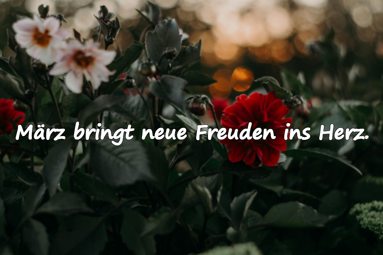 Bedeutungsvolle Zitate über den März