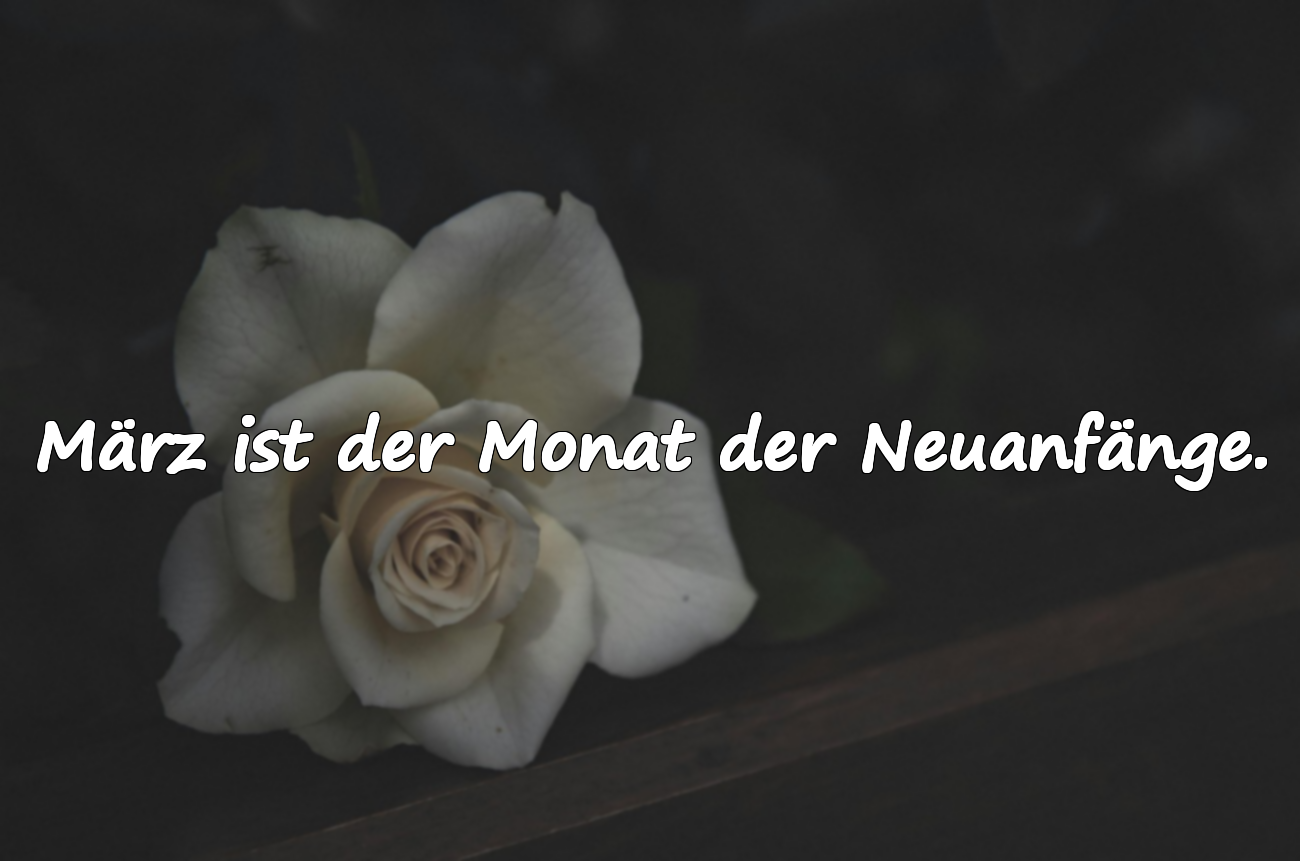 Bedeutungsvolle Zitate über den März