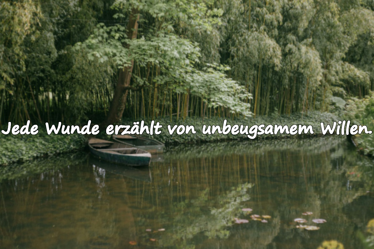 Bedeutungsvolle Zitate über den Militärdienst