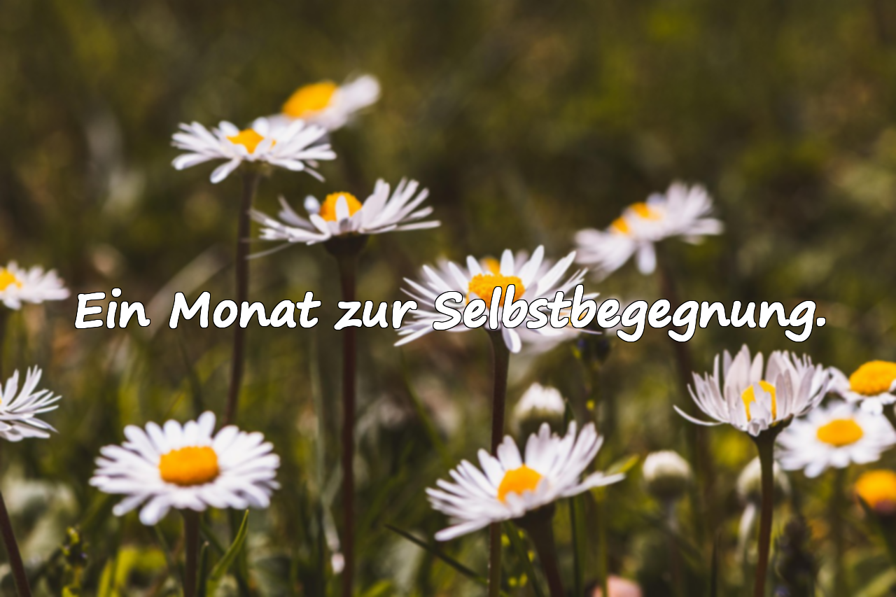 Bedeutungsvolle Zitate über den Monat September