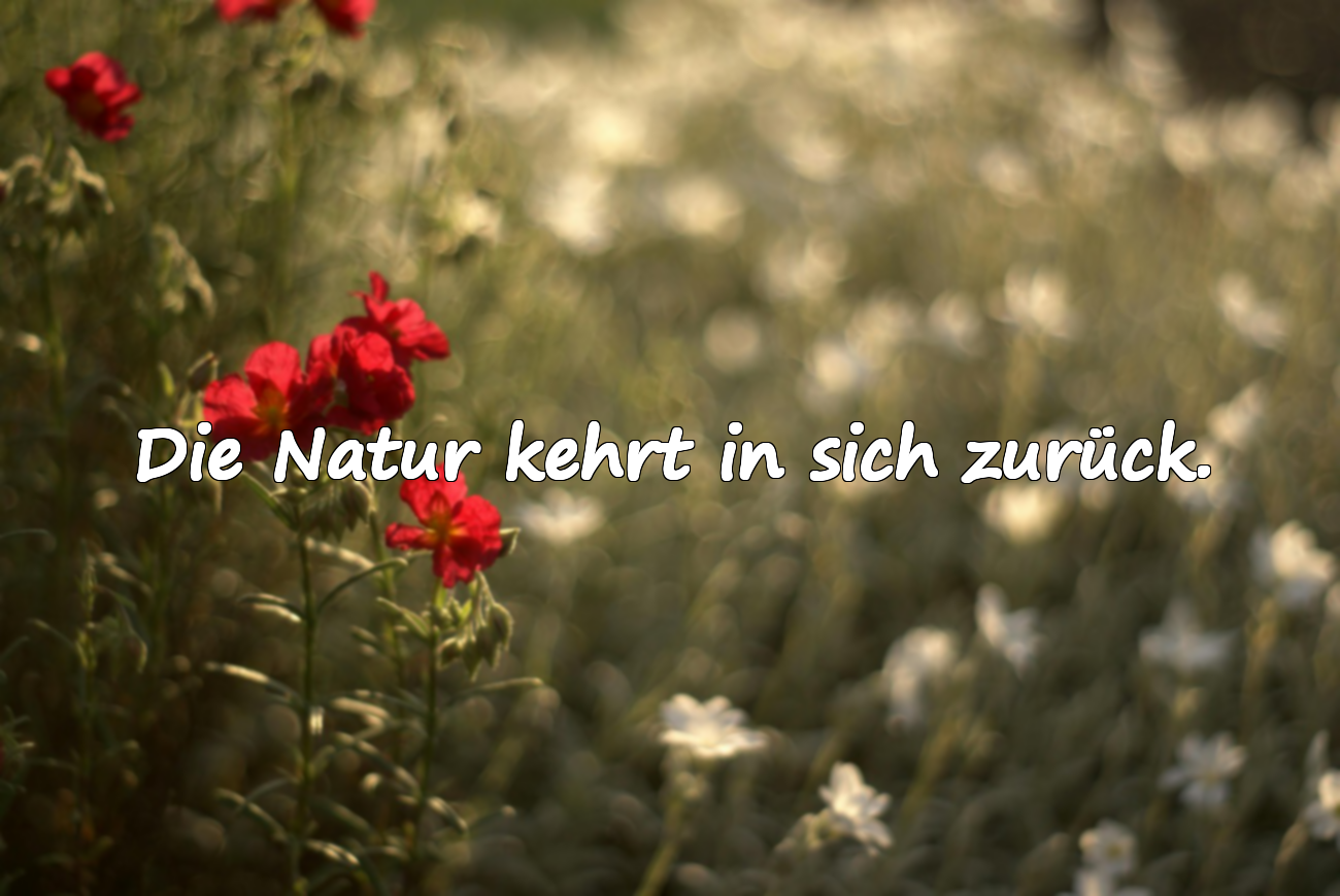 Bedeutungsvolle Zitate über den Monat September