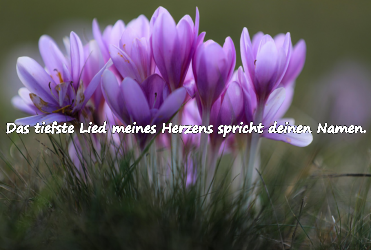 Bedeutungsvolle schöne Worte für Ehepartner
