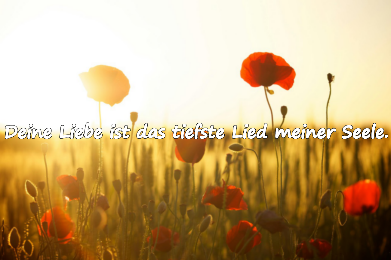 Bedeutungsvolle schöne Worte für meine Frau