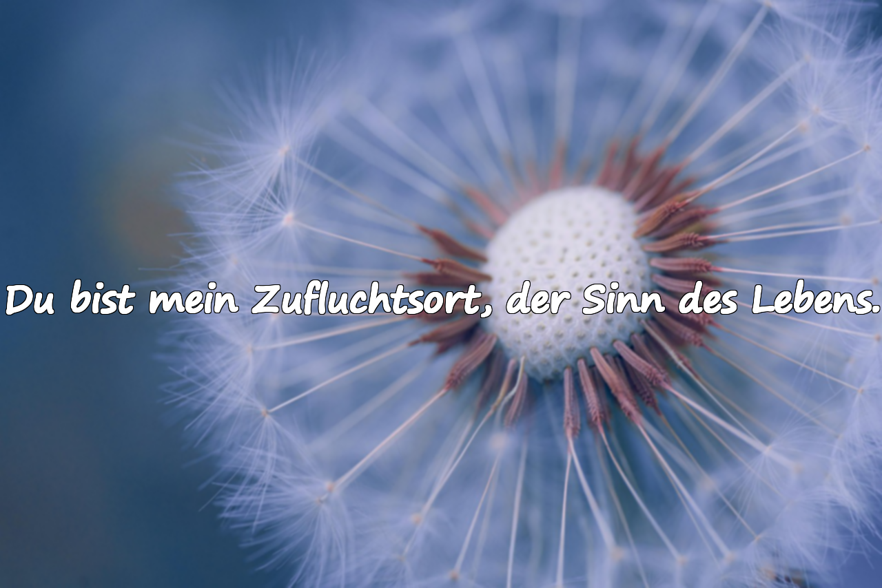 Bedeutungsvolle schöne Worte für meine Frau
