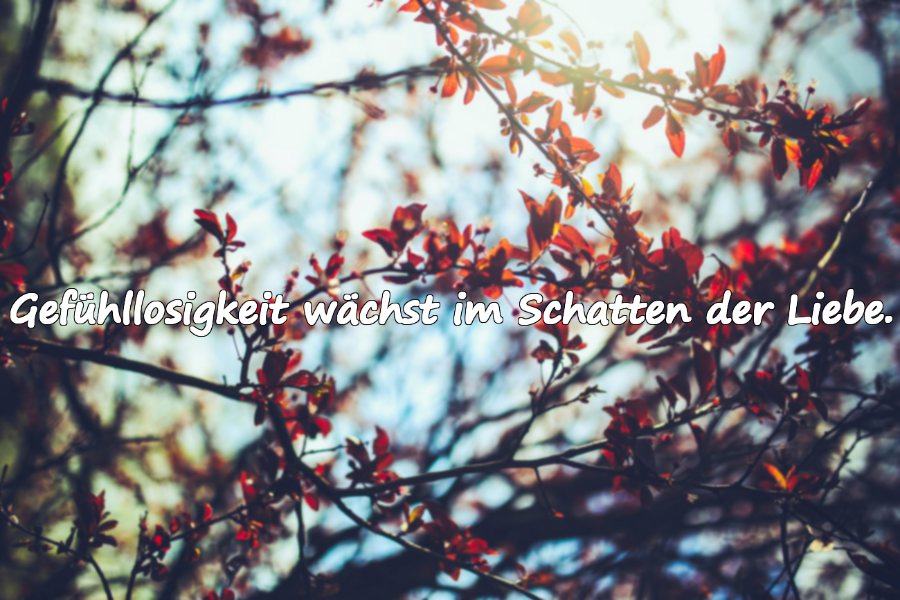 Gefühllosigkeit wächst im Schatten der Liebe.