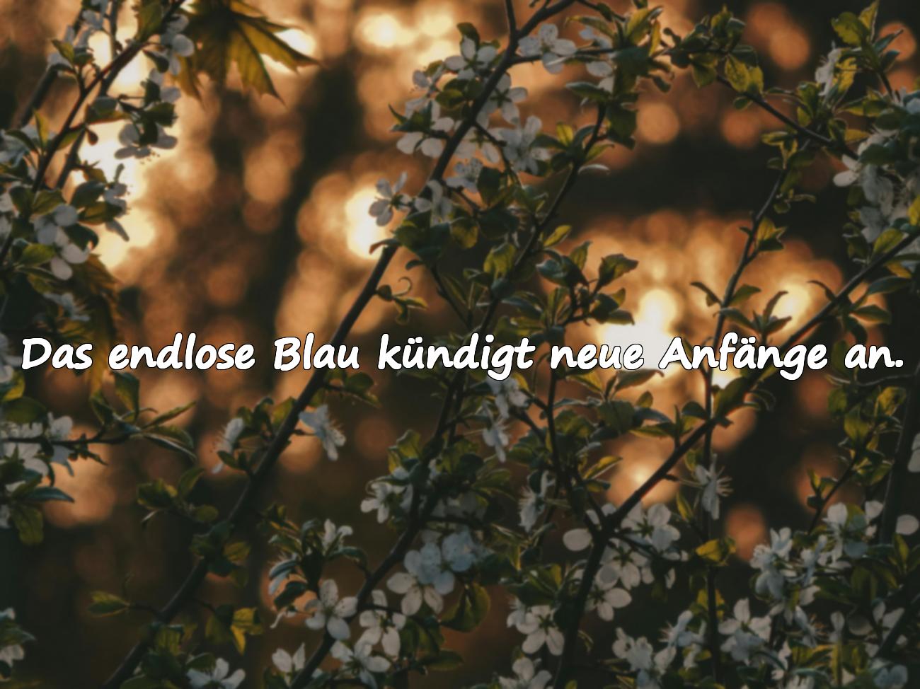 Das endlose Blau kündigt neue Anfänge an.
