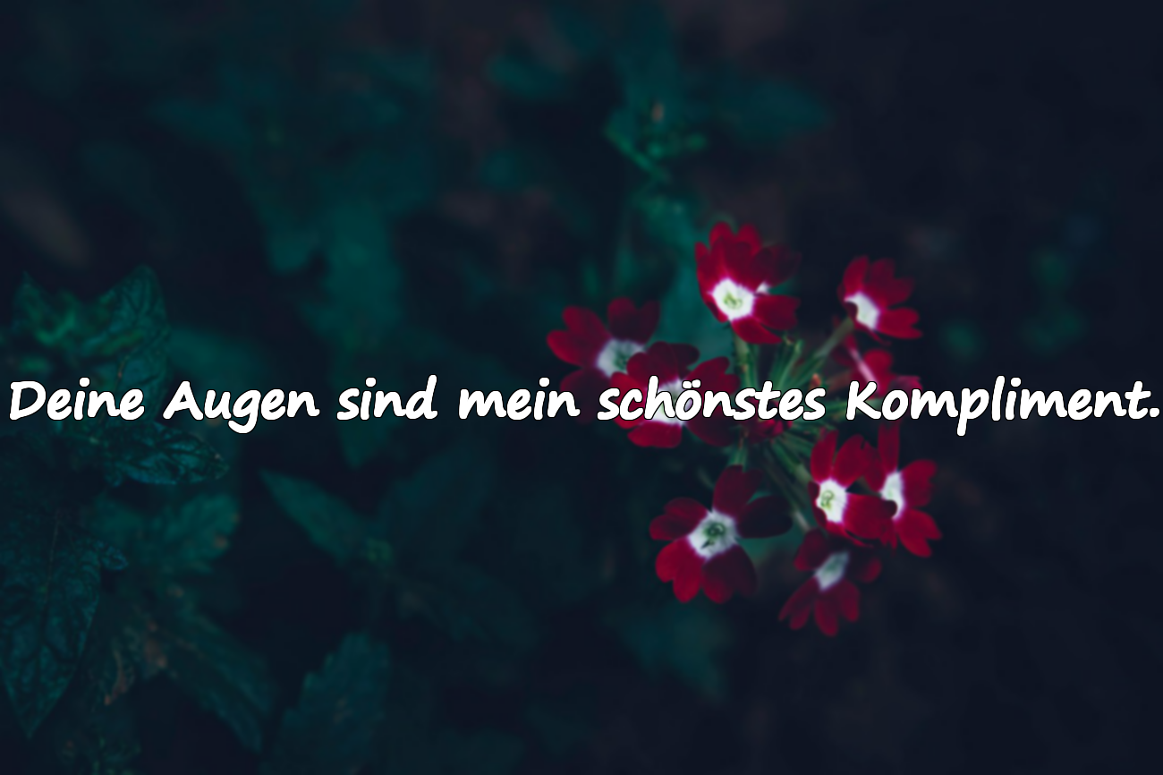 Bedeutungsvolle und schmeichelhafte Zitate über Blickkontakt