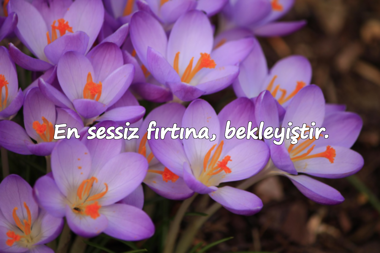 En sessiz fırtına, bekleyiştir.