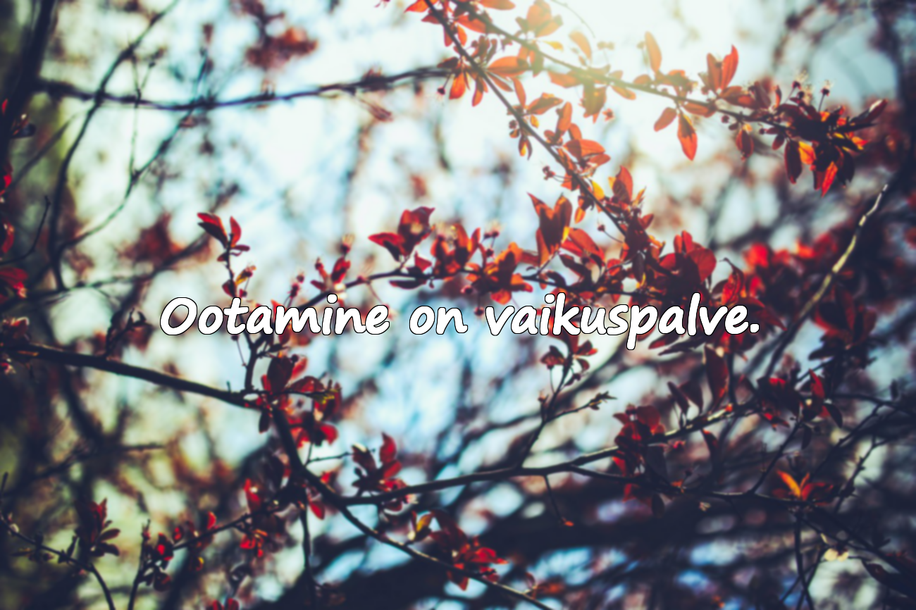 Ootamine on vaikuspalve.