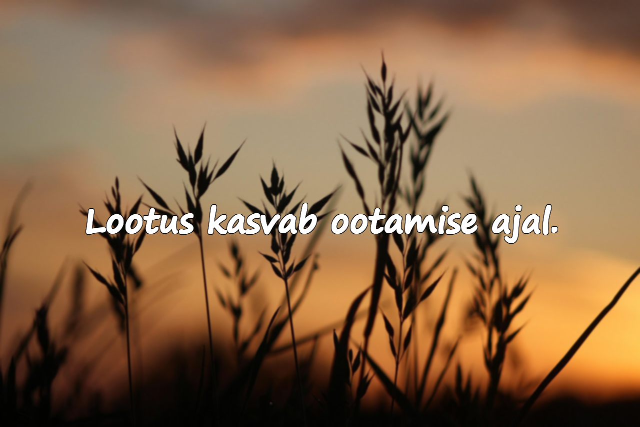 Beklendi ja Ootamisega seotud tsitaadid