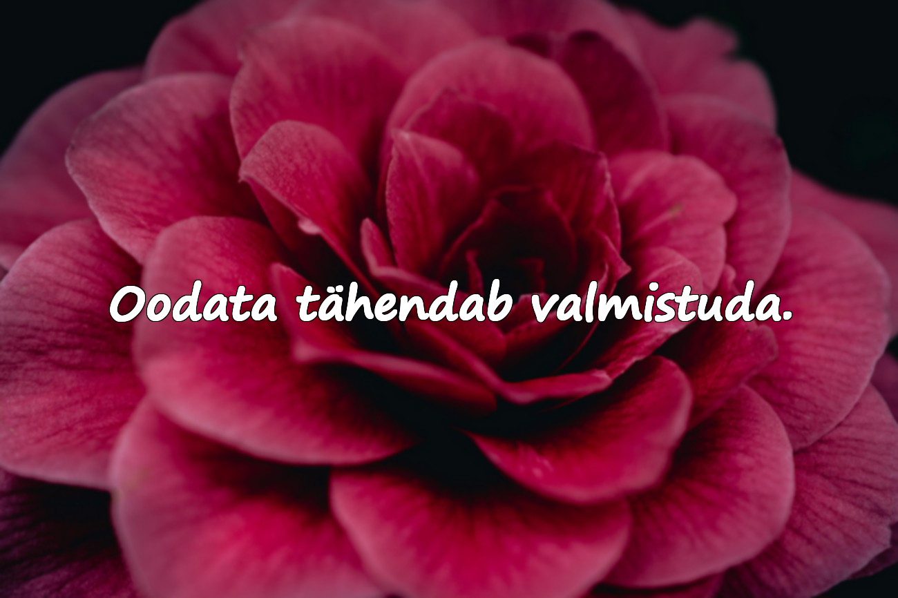 Beklendi ja Ootamisega seotud tsitaadid