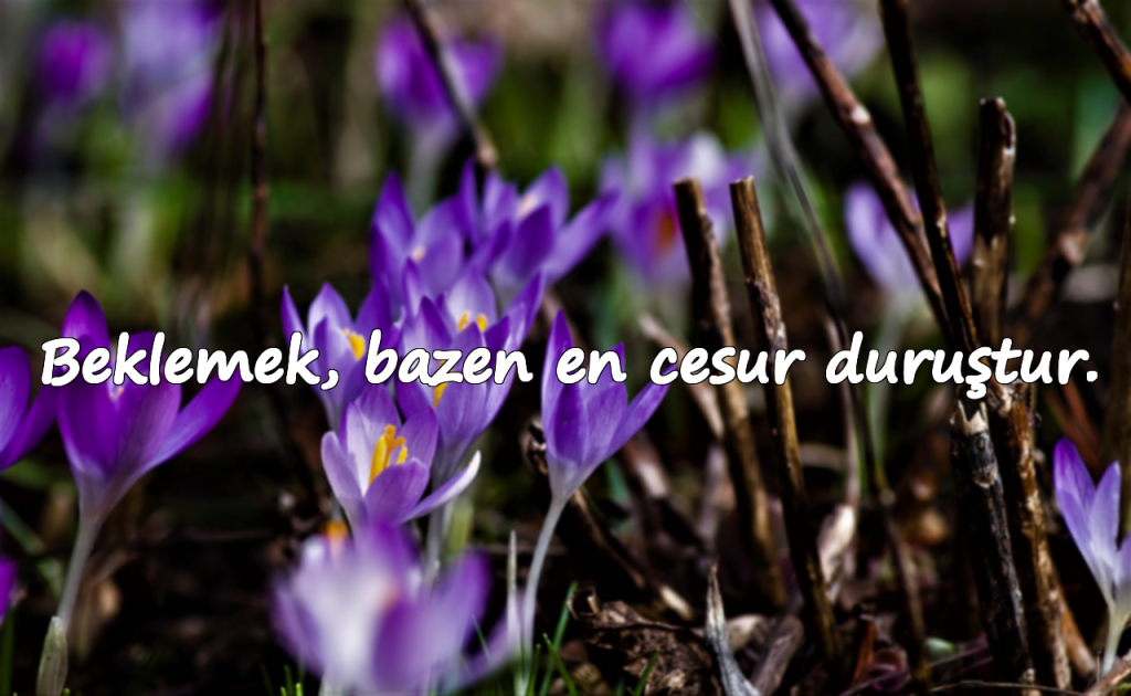 Beklemek, bazen en cesur duruştur.