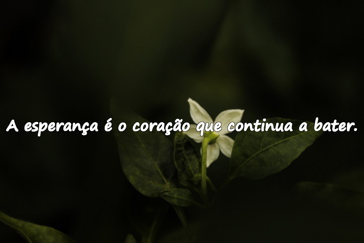 Belas frases sobre a esperança