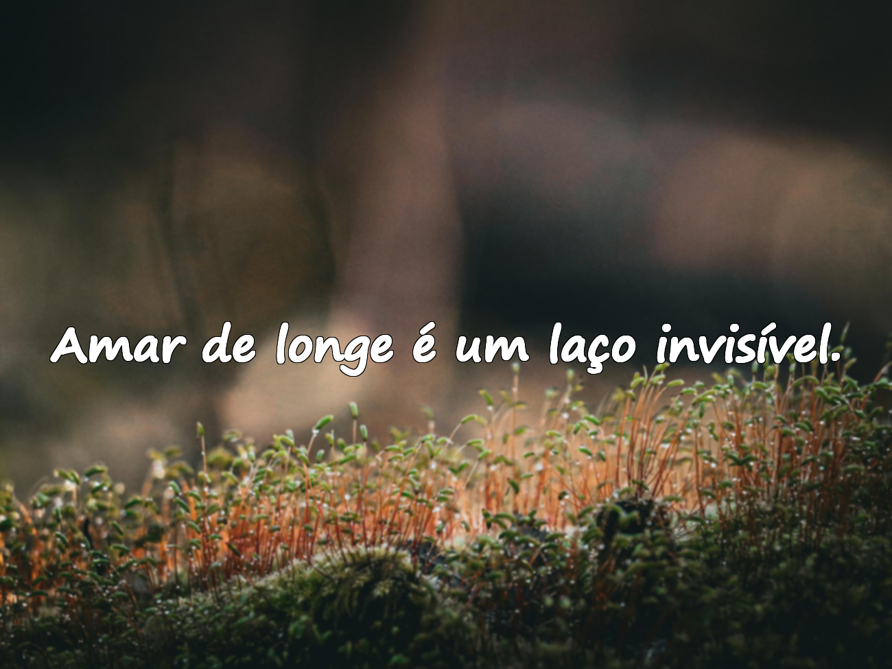 Belas frases sobre amar de longe