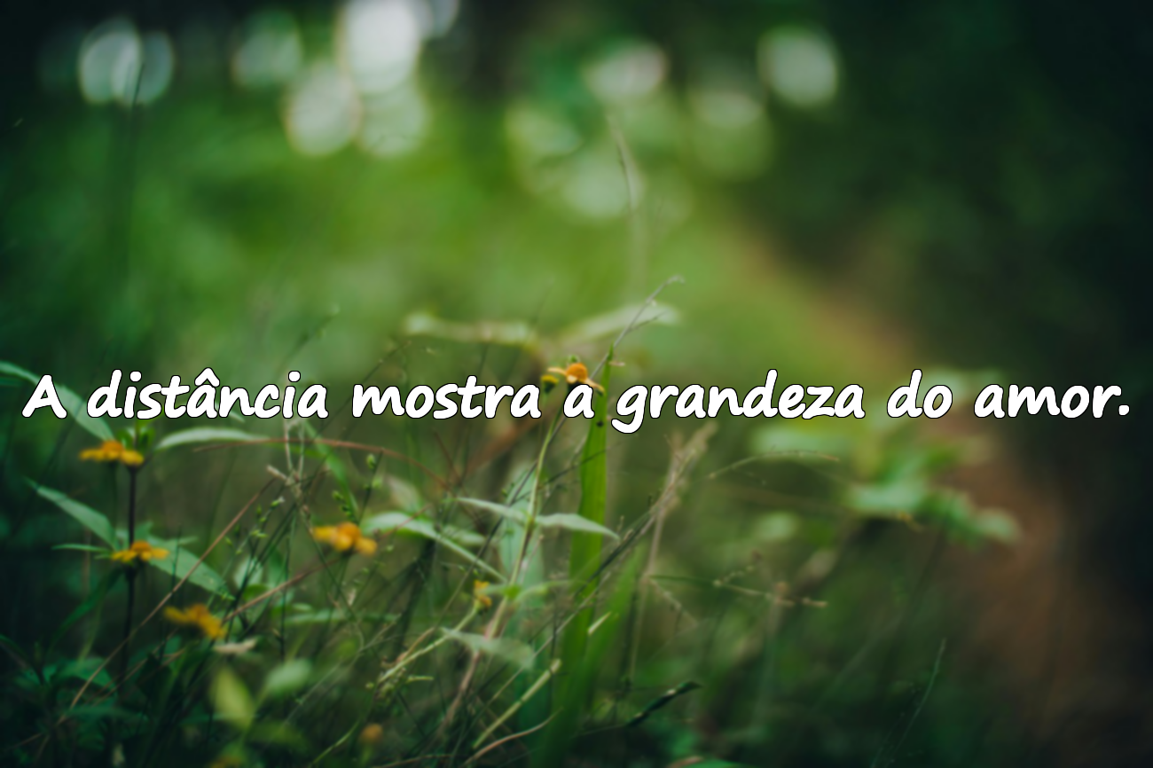 Belas frases sobre amar de longe