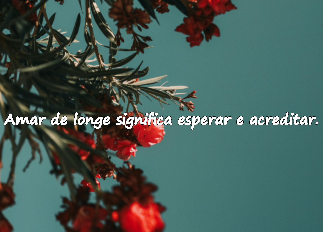 Belas frases sobre amar de longe