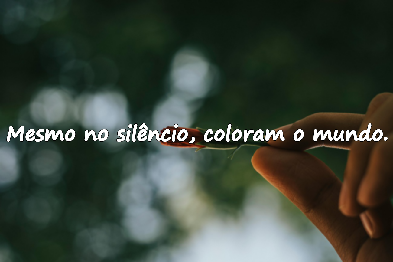 Mesmo no silêncio, coloram o mundo.