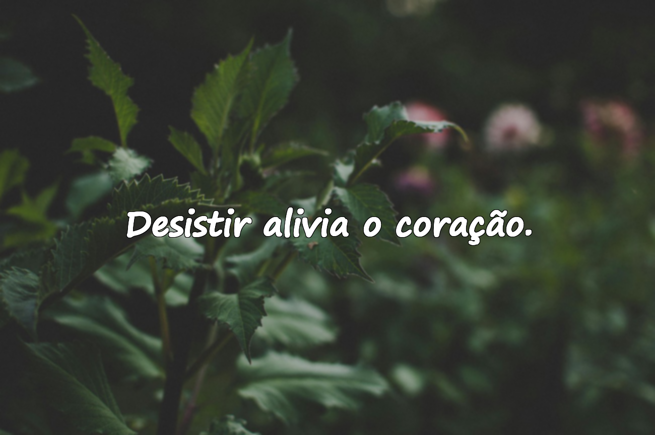 Belas frases sobre desistir