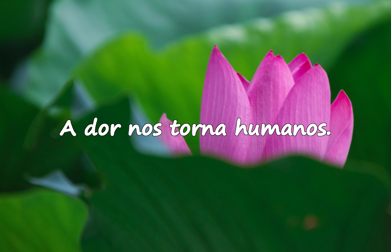 Belas frases sobre tristeza