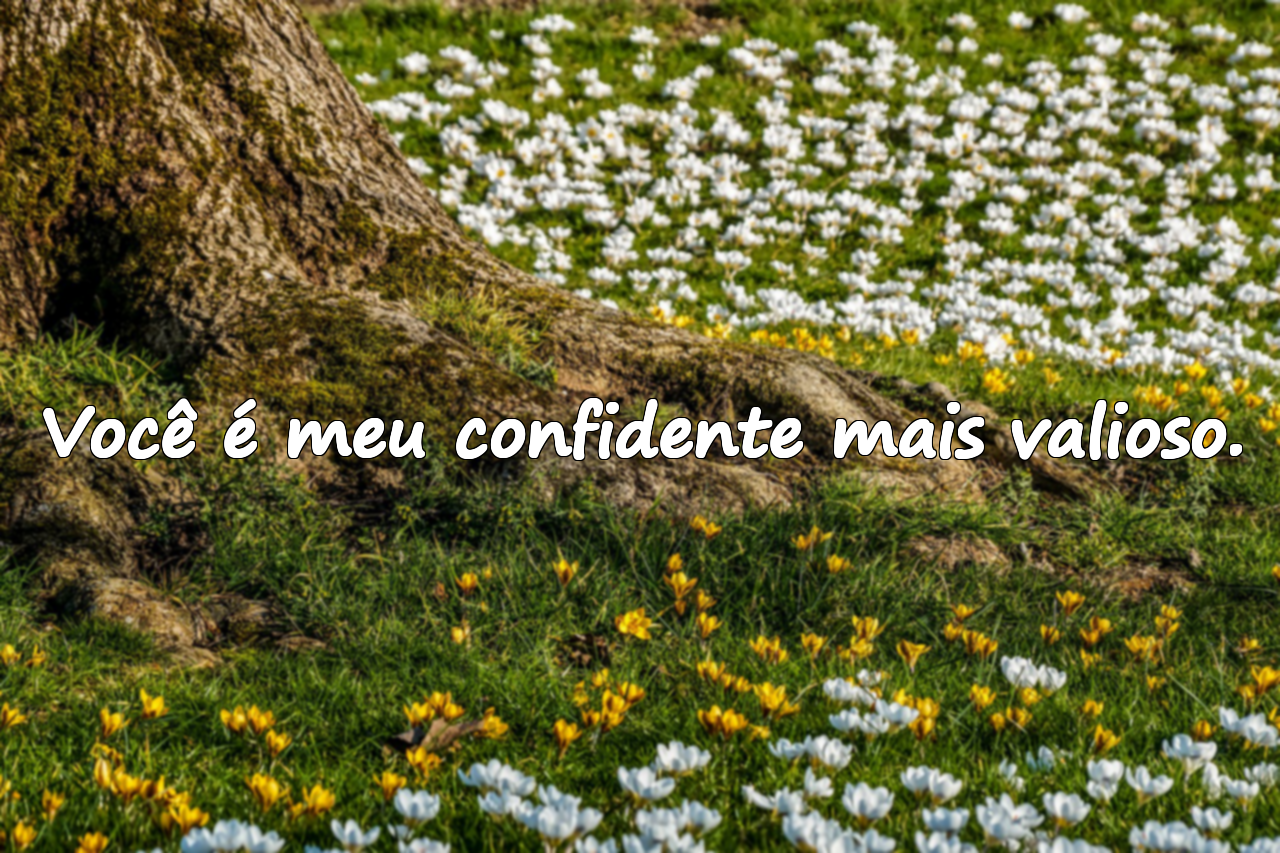 Belas palavras para seu cônjuge