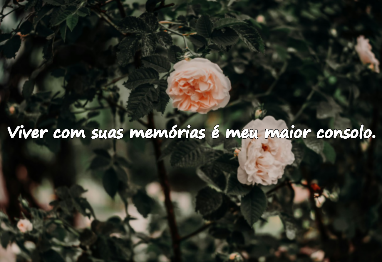 Belas palavras sobre saudade e sentir falta