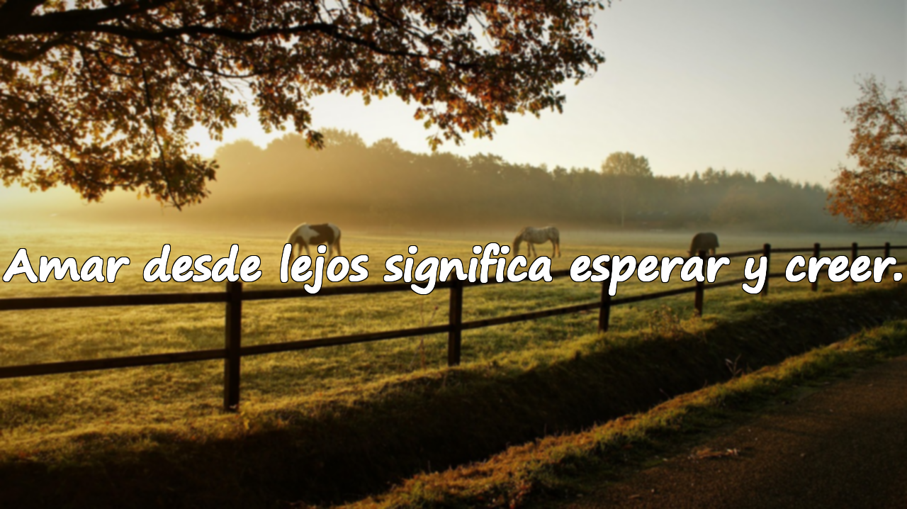 Bellas frases sobre amar desde lejos