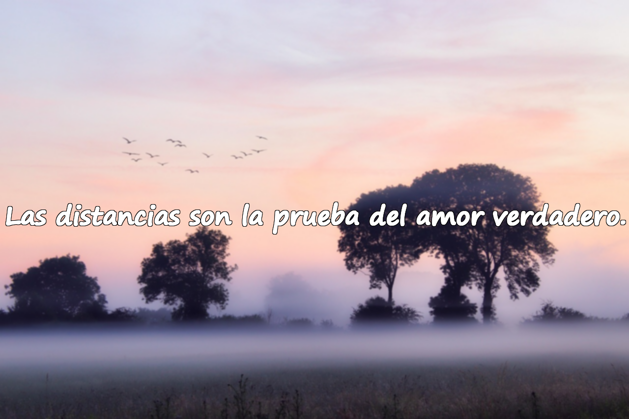 Bellas frases sobre amar desde lejos