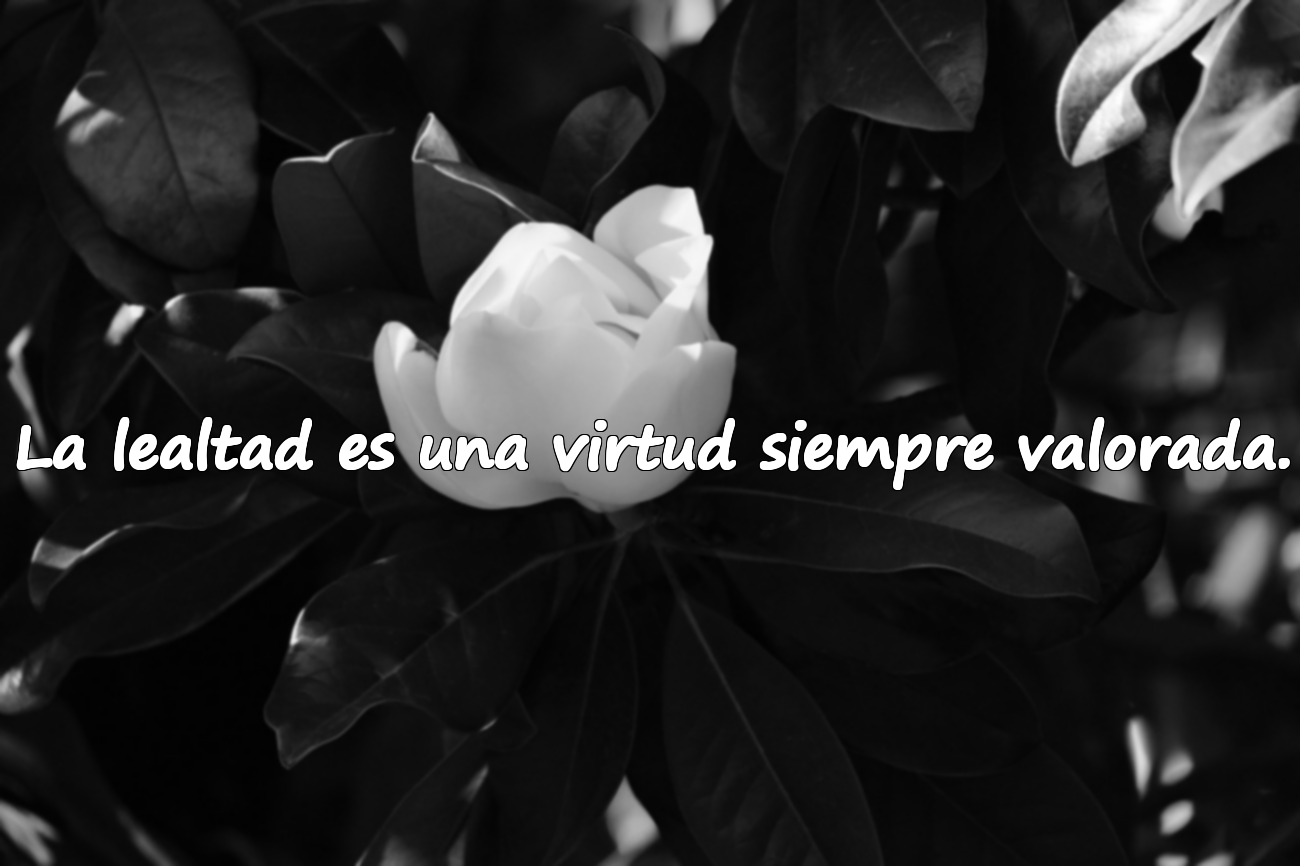 Bellas frases sobre la lealtad