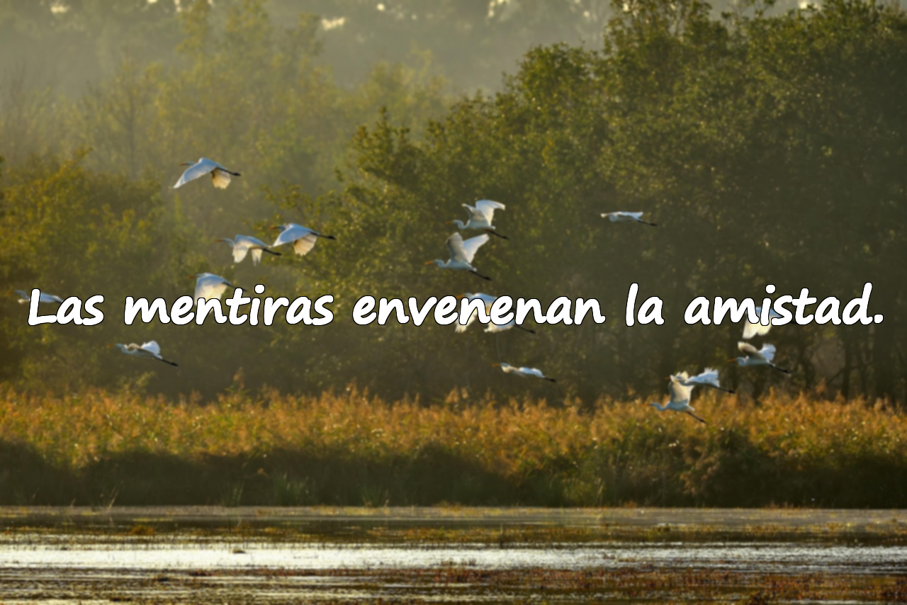 Bellas frases sobre la mentira