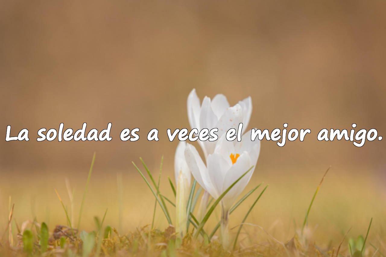 Bellas frases sobre la soledad