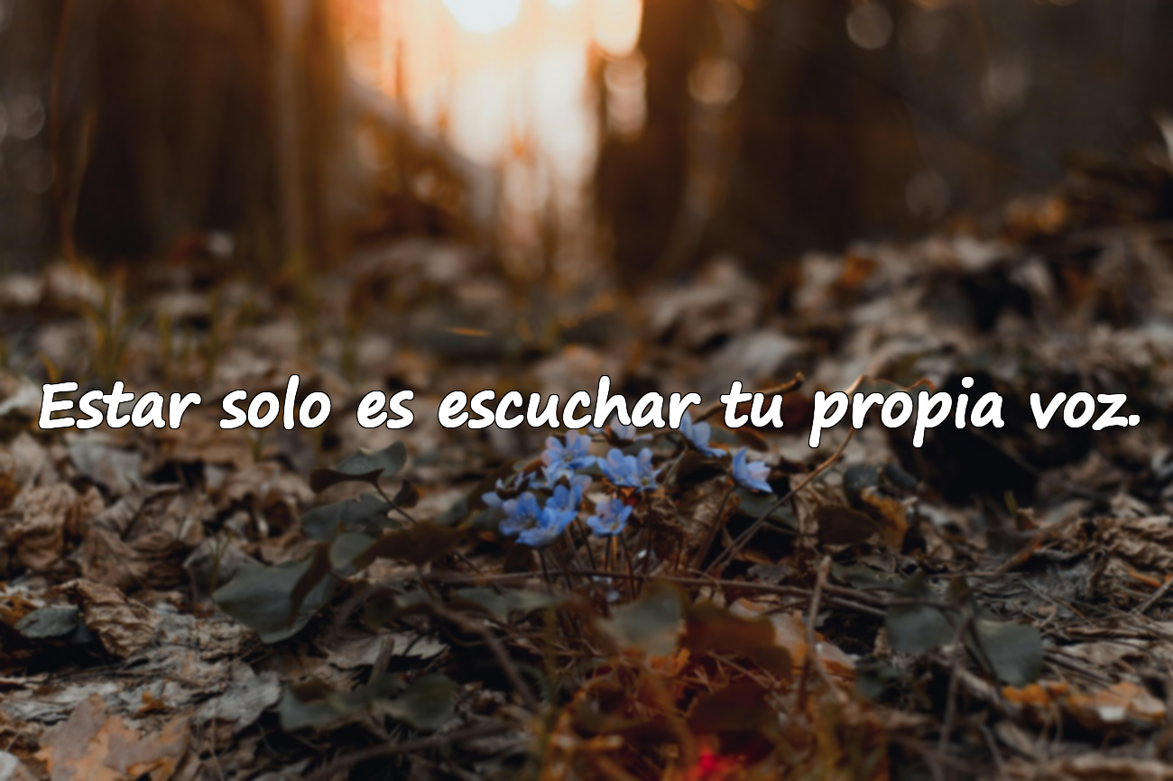 Bellas frases sobre la soledad
